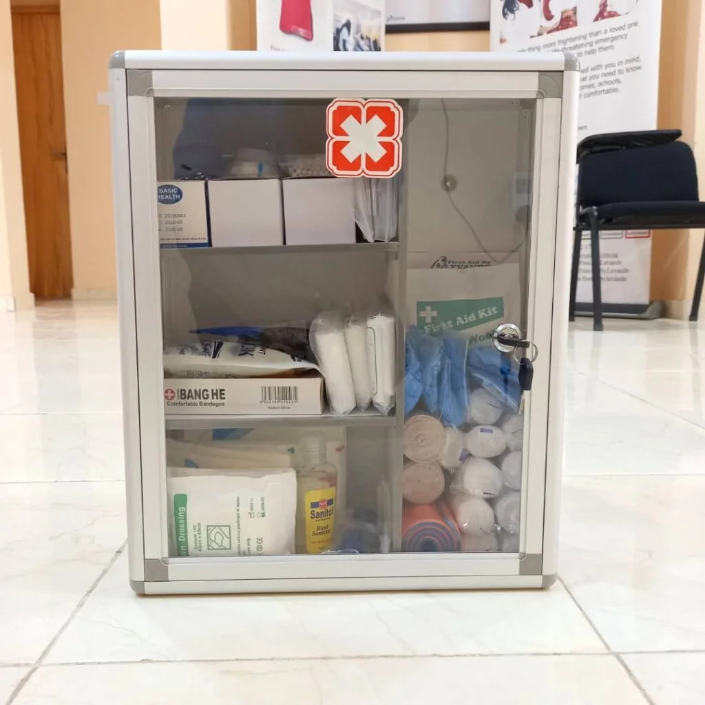 Levande Wall Mounted First Aid Box